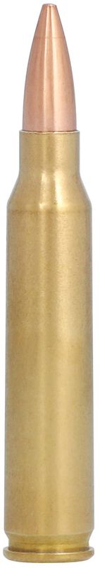 Gold Medal Sierra MatchKing, 223 Rem, 69 Grain, Sierra Matchking Boat-Tail Hollow Point, 2950 fps