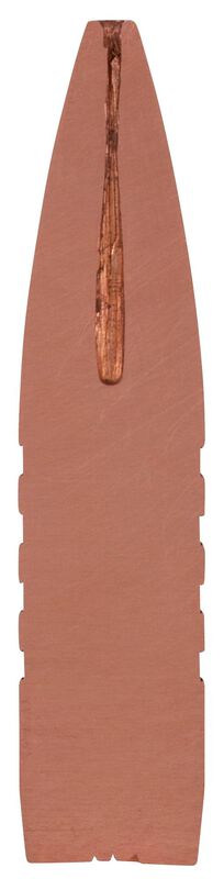 Barnes TSX, 300 WSM, 180 Grain, Barnes Triple-Shock X Bullet (TSX), 2980 fps