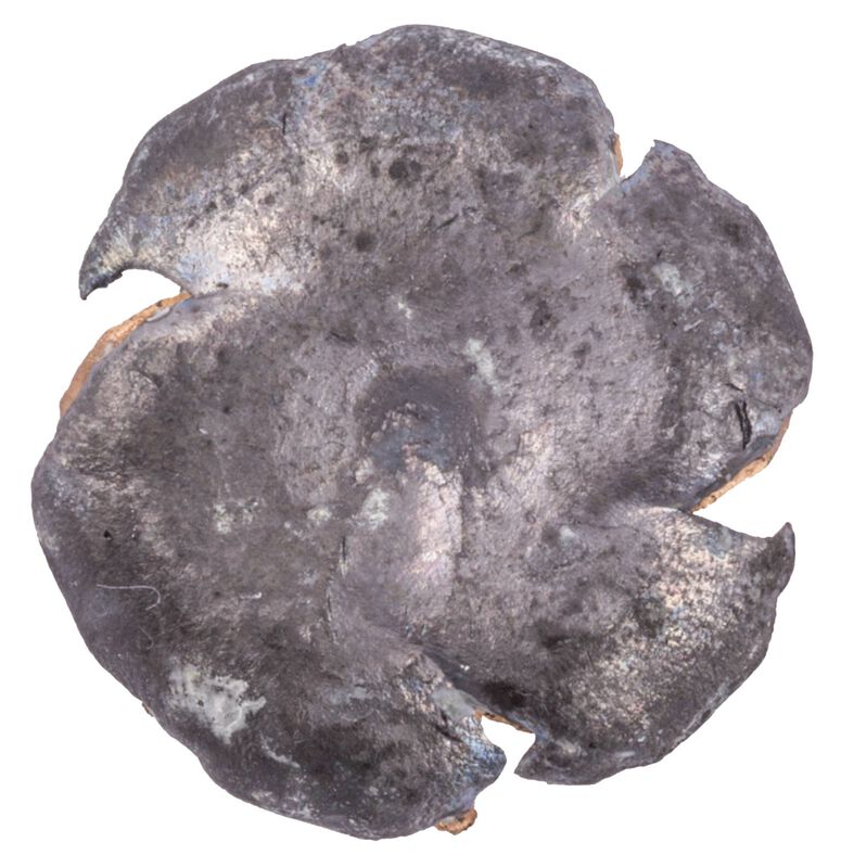 Train + Protect, 40 S&amp;W, 180 Grain, Jacketed Hollow Point, 1000 fps