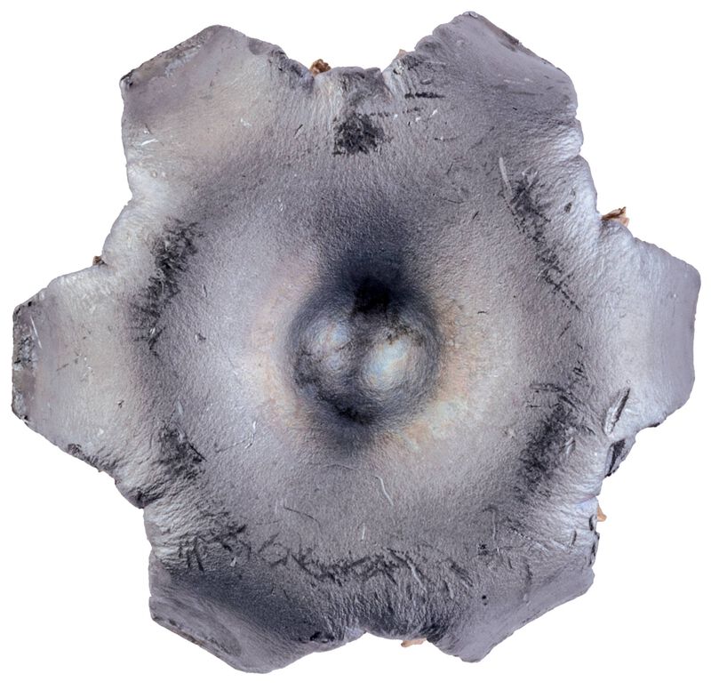 Personal Defense Punch, 44 S&amp;W Spl, 180 Grain, Jacketed Hollow Point, 815 fps