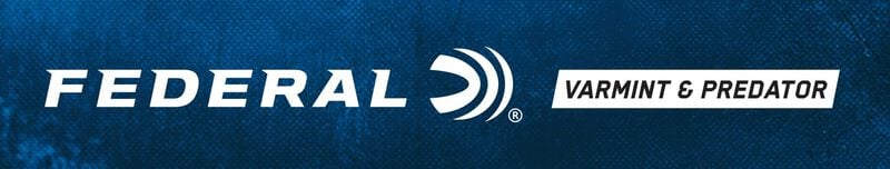 Varmint &amp; Predator, 22-250 Rem, 50 Grain, Jacketed Hollow Point, 3850 fps