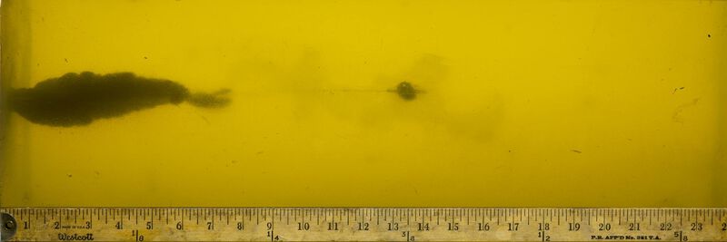 Personal Defense Hydra&bull;Shok