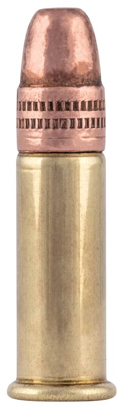 Small Game, 22 LR, 38 Grain, Copper Plated Hollow Point, 1260 fps