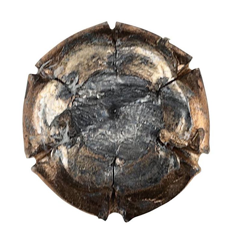 Personal Defense HST, 45 Auto, 230 Grain, HST Jacketed Hollow Point, 890 fps