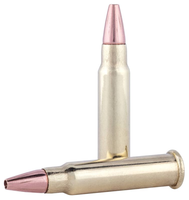 Varmint &amp; Predator Speer TNT, 17 HMR, 17 Grain, Speer TNT Jacketed Hollow Point, 2530 fps