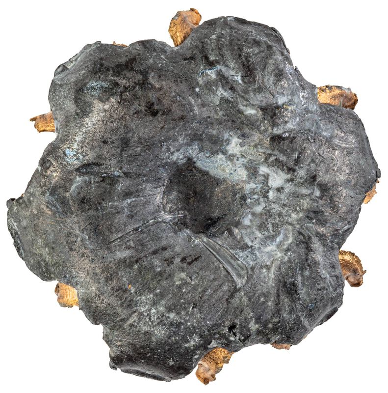 Personal Defense Punch, 10mm Auto, 200 Grain, Jacketed Hollow Point, 1100 fps