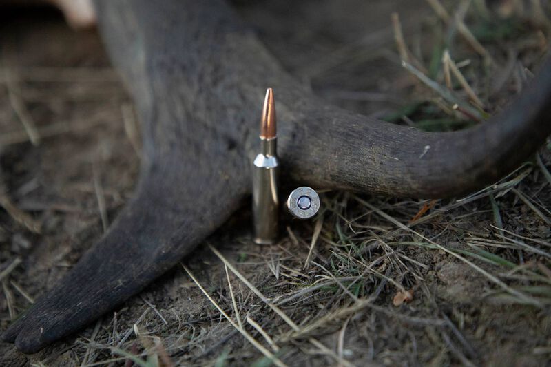 Barnes TSX, 224 Valkyrie, 78 Grain, Barnes Triple-Shock X Bullet (TSX), 2850 fps