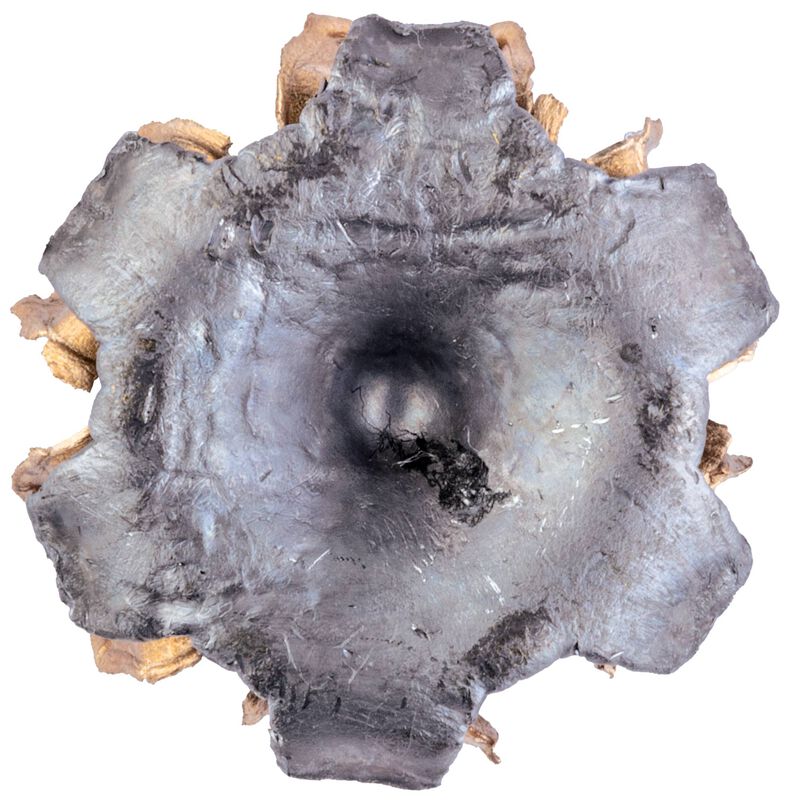 Personal Defense Punch, 44 S&amp;W Spl, 180 Grain, Punch Jacket Hollow Point, 815 fps