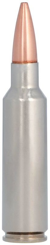 Barnes TSX, 300 WSM, 180 Grain, Barnes Triple-Shock X Bullet &#40;TSX&#41;, 2980 fps