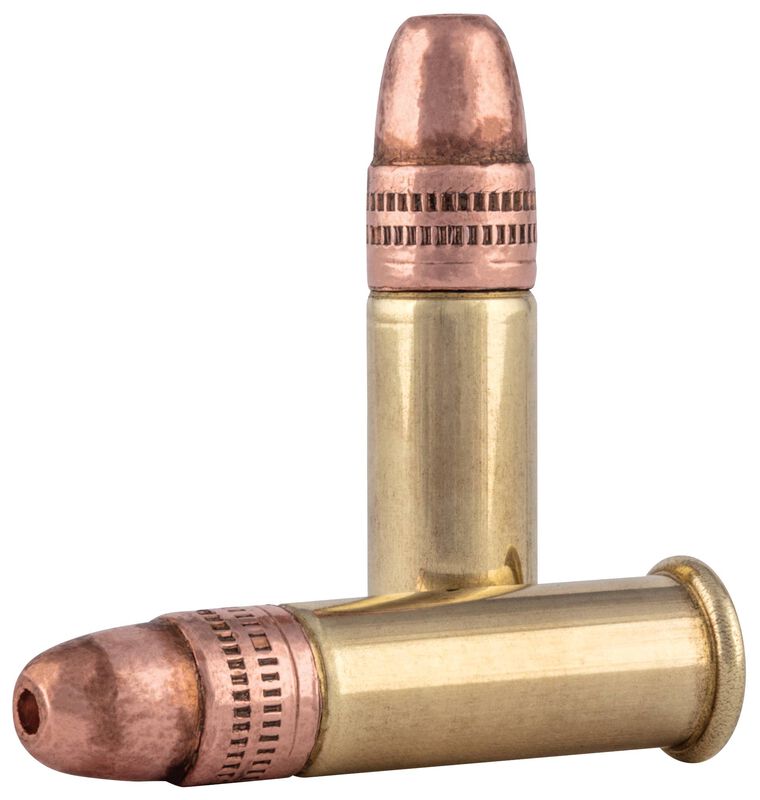 Small Game, 22 LR, 38 Grain, Copper Plated Hollow Point, 1260 fps