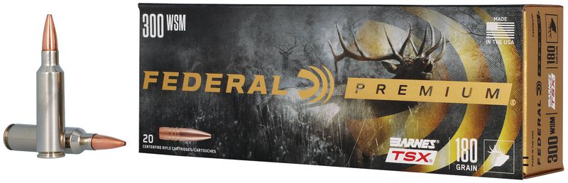 Barnes TSX, 300 WSM, 180 Grain, Barnes Triple-Shock X Bullet (TSX), 2980 fps