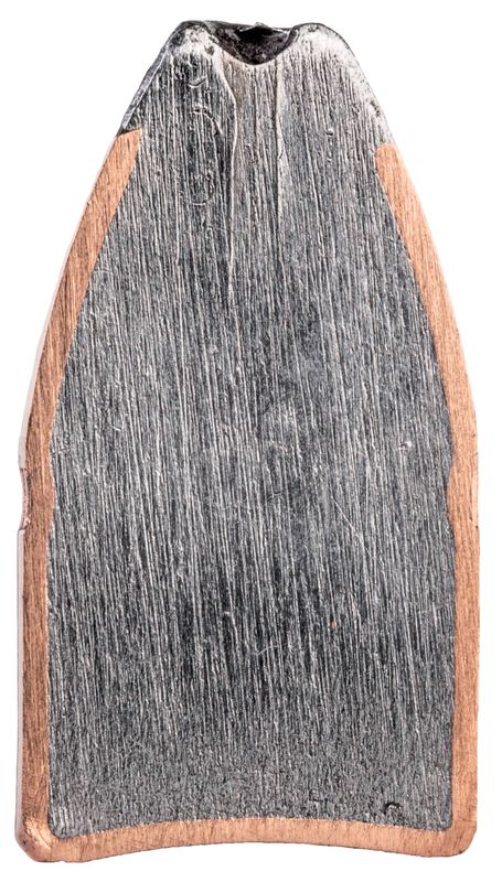 Fusion Rifle, 450 Bushmaster, 260 Grain, Fusion Soft Point, 2200 fps