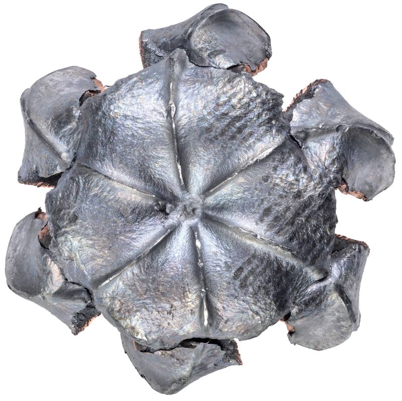 HammerDown Handgun, 45 Colt, 250 Grain, Bonded Hollow Point, 1025 fps