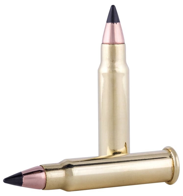 Varmint &amp; Predator Hornady V-Max, 17 HMR, 17 Grain, V-Max&reg;, 2530 fps