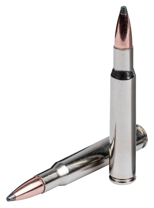 Nosler Partition, 30-06 Springfield, 165 Grain, Nosler Partition, 2830 fps