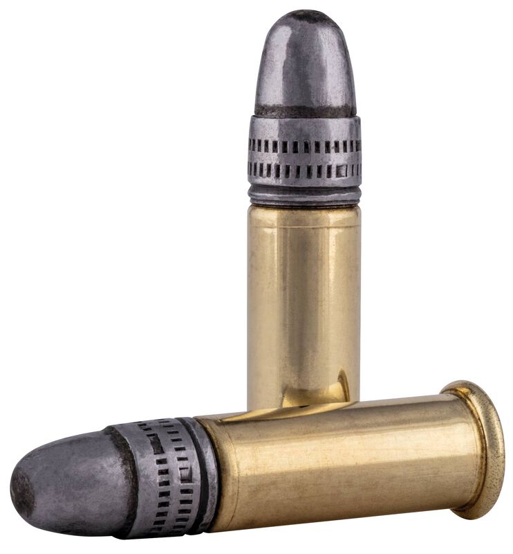 Champion Training - Rimfire, 22 LR, 40 Grain, Lead Round Nose, 1240 fps