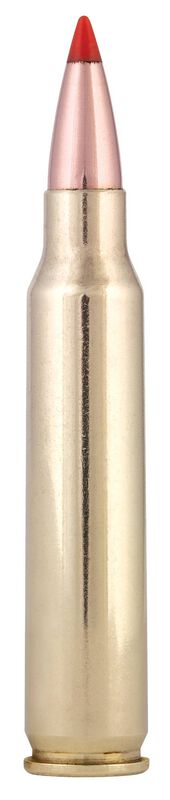 Varmint &amp; Predator, 223 Rem, 53 Grain, Hornady&reg; V-Max&reg;, 3400 fps