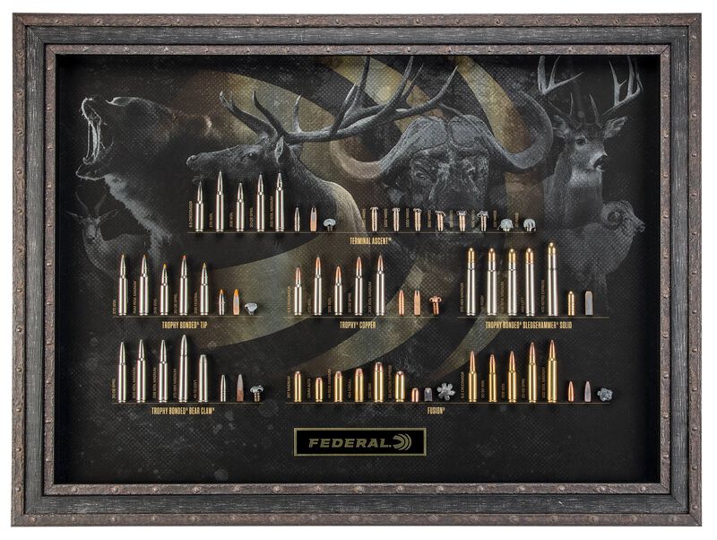 Federal Bullet Board Big Game