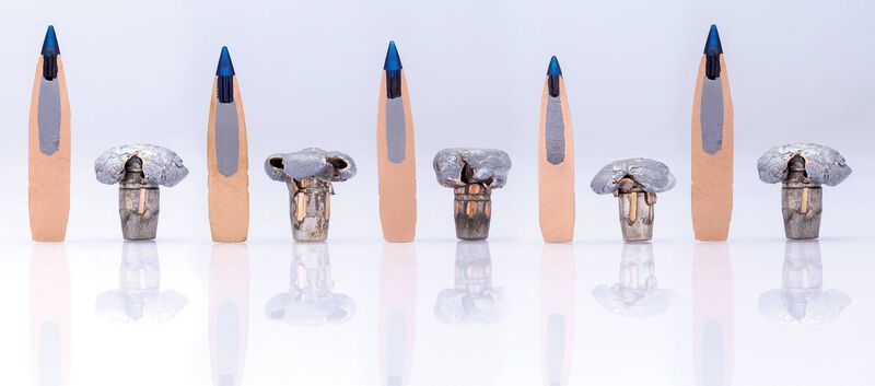 Terminal Ascent, 300 WSM, 200 Grain, Terminal Ascent, 2810 fps