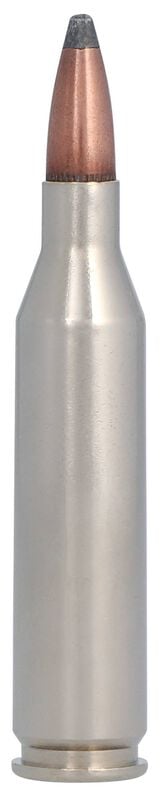 Nosler Partition, 243 Win, 100 Grain, Nosler Partition, 2850 fps