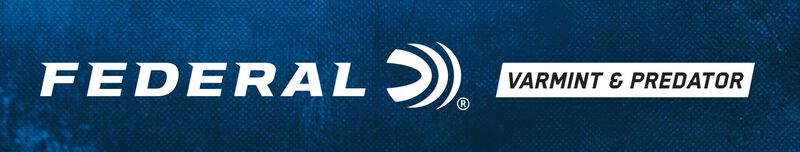 Varmint &amp; Predator, 22-250 Rem, 50 Grain, Jacketed Hollow Point, 3850 fps