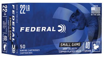 Small Game 22 LR 40 Grain