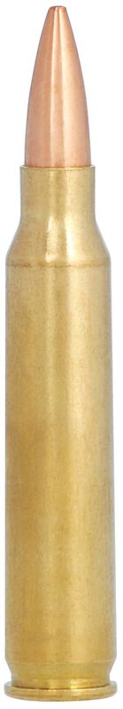 Gold Medal Berger, 223 Rem, 73 Grain, Berger BT Target, 2800 fps