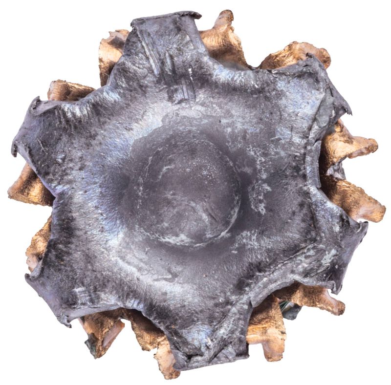 Train + Protect, 380 Auto, 85 Grain, Versatile Hollow Point, 1000 fps