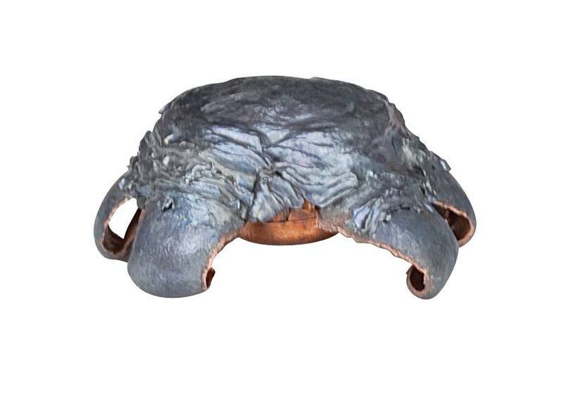 Fusion Rifle, 30-06 Springfield, 165 Grain, Fusion Soft Point, 2790 fps