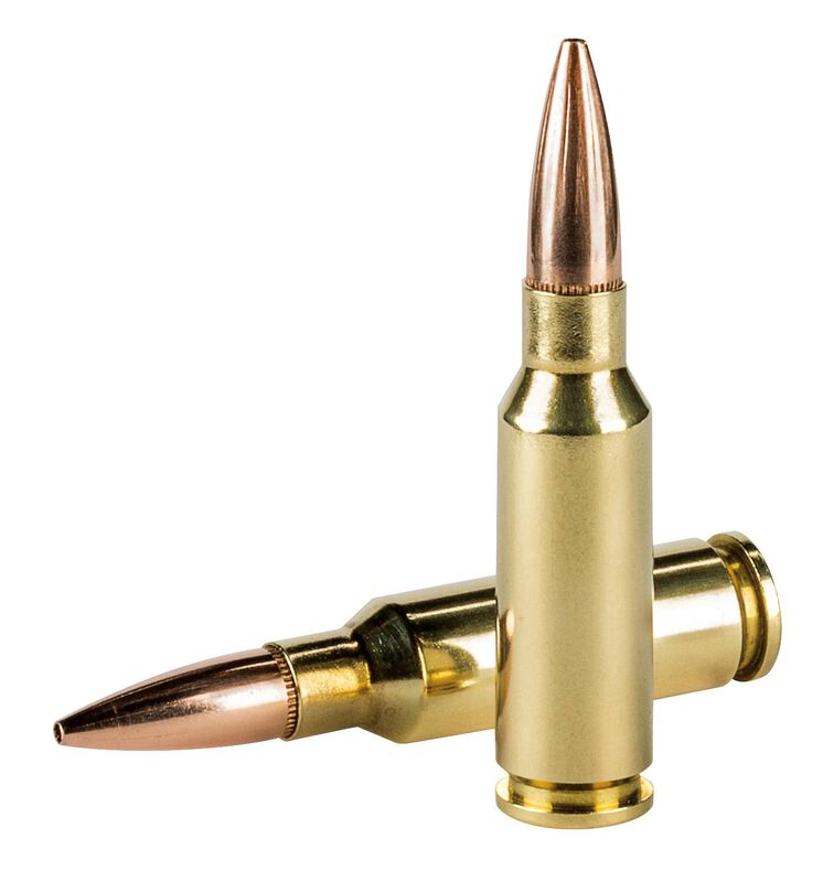 Varmint &amp; Predator, 6.5 Grendel, 90 Grain, Speer TNT Jacketed Hollow Point, 3000 fps