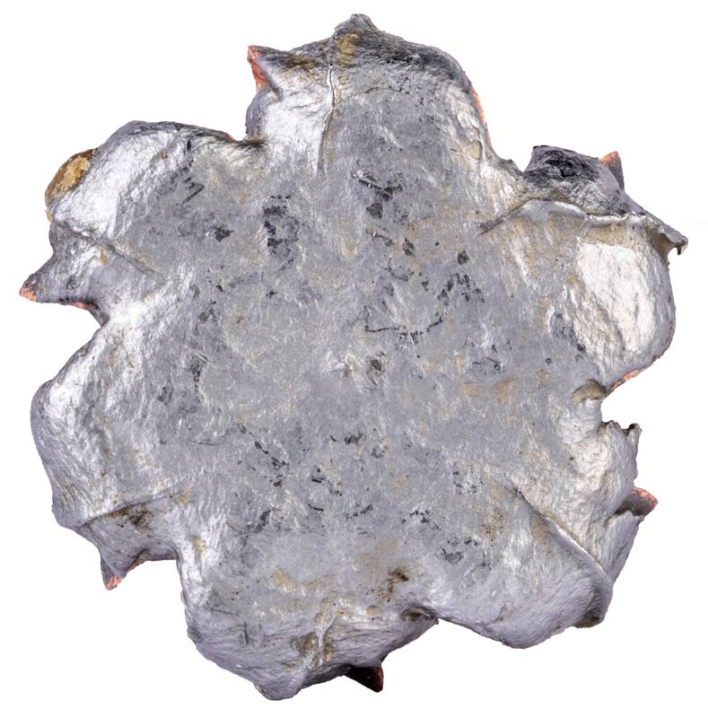 Fusion Rifle, 450 Bushmaster, 260 Grain, Fusion Soft Point, 2200 fps