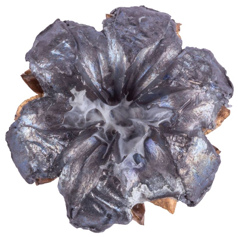 Personal Defense HST, 10mm Auto, 200 Grain, HST Jacketed Hollow Point, 1130 fps