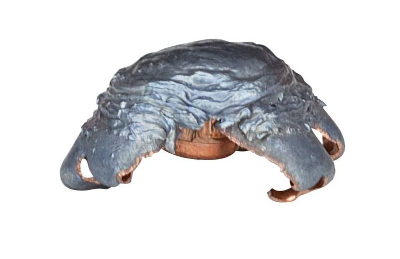 Fusion Rifle, 30-06 Springfield, 165 Grain, Fusion Soft Point, 2790 fps