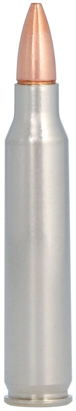 Barnes TSX, 223 Rem, 55 Grain, Barnes Triple-Shock X Bullet (TSX), 3200 fps