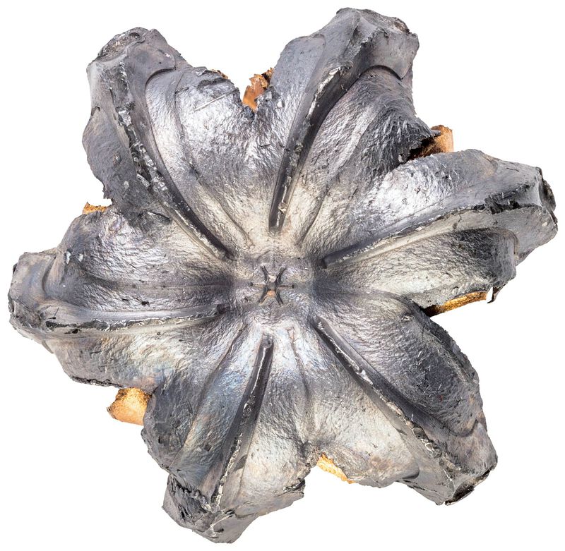 Personal Defense HST, 44 Rem Magnum, 230 Grain, HST Jacketed Hollow Point, 1085 fps