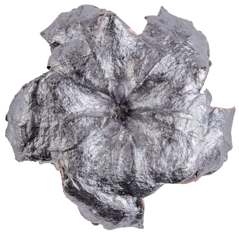 Personal Defense Punch Rimfire, 22 WMR, 45 Grain, Punch Jacket Hollow Point, 1000 fps