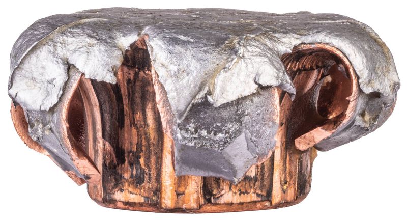 Fusion Rifle, 450 Bushmaster, 260 Grain, Fusion Soft Point, 2200 fps