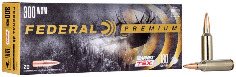 Barnes TSX, 300 WSM, 180 Grain, Barnes Triple-Shock X Bullet (TSX), 2980 fps