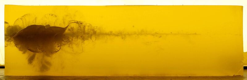 Terminal Ascent, 6.5 PRC, 130 Grain, Terminal Ascent, 3000 fps