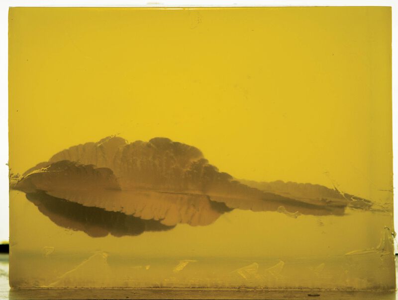 Personal Defense HST, 45 Auto, 230 Grain, HST Jacketed Hollow Point, 890 fps