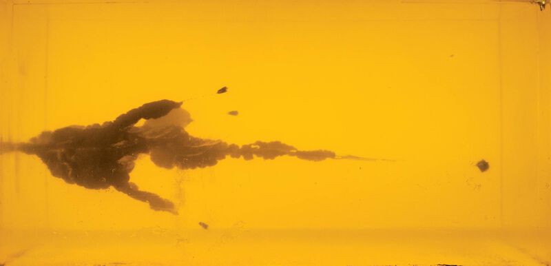 Syntech Defense, 9mm Luger, 138 Grain, Segmented Hollow Point, 1050 fps