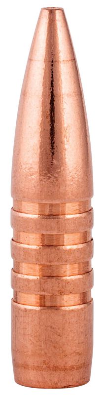 Barnes TSX, 30-06 Springfield, 180 Grain, Barnes Triple-Shock X Bullet (TSX), 2700 fps