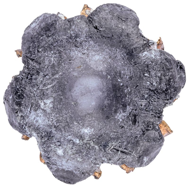 Personal Defense Punch, 45 Auto, 230 Grain, Jacketed Hollow Point, 890 fps