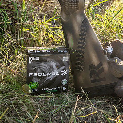 Best Shotgun Shells For Dove Hunting