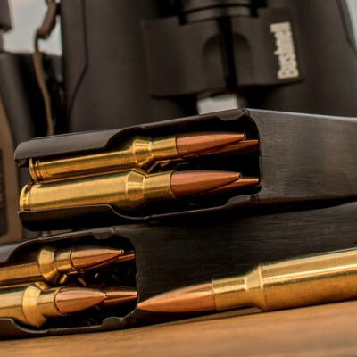 Choosing The Best Varmint Ammunition