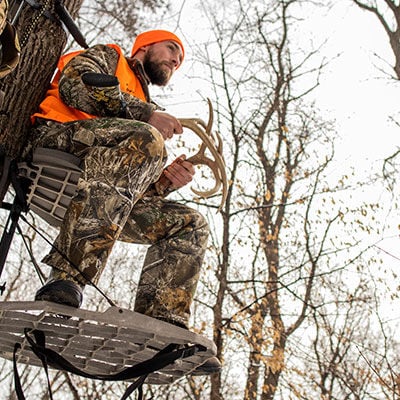 Can You Speak Whitetail?