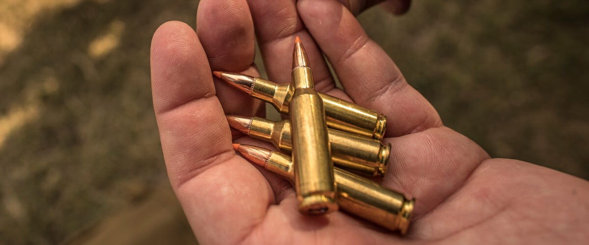 Federal ammo laying on someone's hand