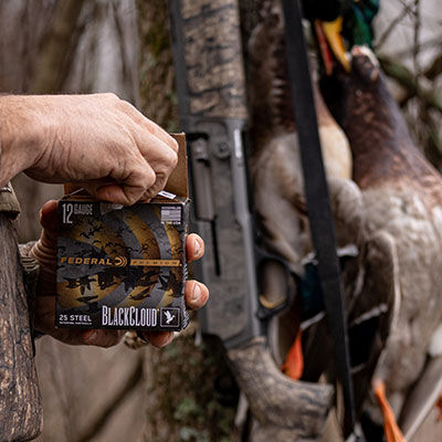 Best Shot Sizes For Ducks And Geese