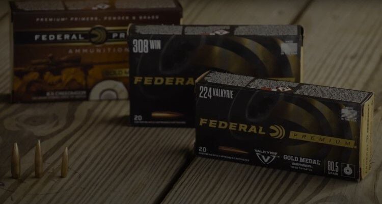 Choose The Right Long Range Ammunition