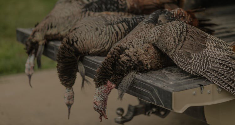 Butcher Your Bird